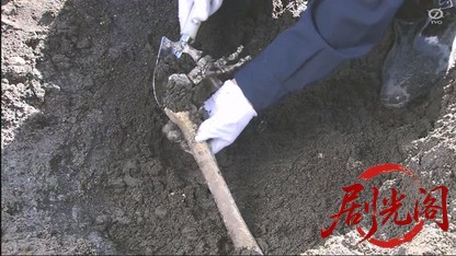 内田康夫サスペンス 信濃のコロンボ2 北国街道殺人事件.mkv_20260326_203239.807.jpg