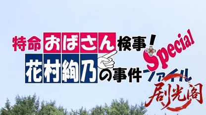 特命おばさん検事！花村絢乃の事件ファイル スペシャル.mkv_20260331_125249.280.jpg
