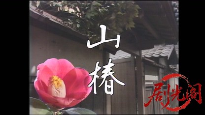 山椿1980.mkv_20260407_113847.496.jpg