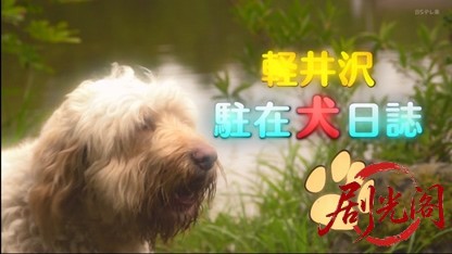 軽井沢駐在犬日誌.mkv_20260408_132121.086.jpg