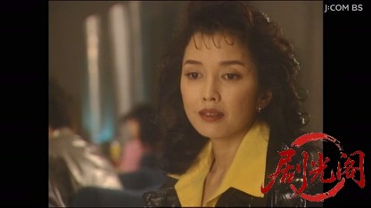 天才 神津恭介の殺人推理１　時速２４０ｋｍ東北新幹線遠隔殺人トリック！.mkv_202604.jpg