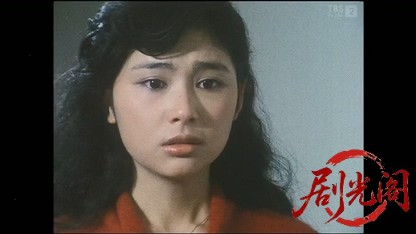 西村京太郎サスペンス 十津川警部シリーズ2 ミステリートレイン日本一周旅号殺人事件..jpg