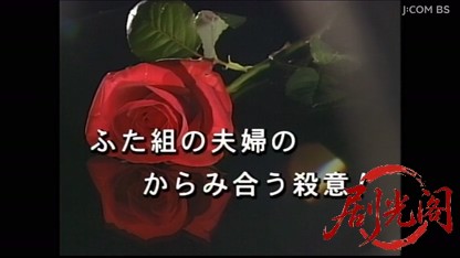 天才 神津恭介の殺人推理２　ふた組の夫婦のからみ合う殺意！.mkv_20260408_225019.463.jpg