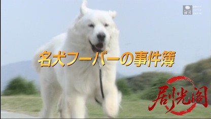 名犬フーバーの事件簿.mkv_20260408_232750.265.jpg