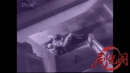 刑事 鬼貫八郎8.mkv_20260409_201549.984.jpg