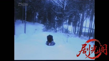 刑事 鬼貫八郎11.mkv_20260409_204150.998.jpg