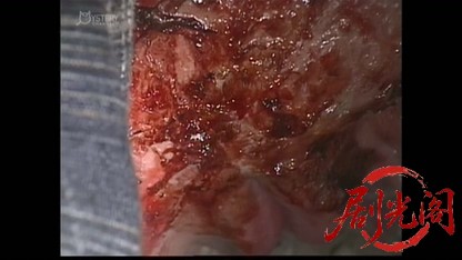 刑事 鬼貫八郎13.mkv_20260409_205233.310.jpg