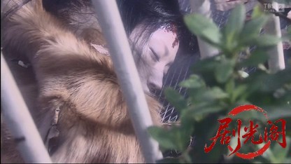 カードGメン小早川茜8 同姓同名の女たち.mkv_20260409_233433.125.jpg