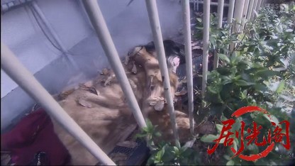 カードGメン小早川茜8 同姓同名の女たち.mkv_20260409_233423.748.jpg