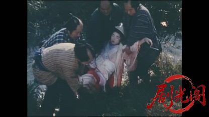 藤田まことの丹下左膳４ 彷徨う丑三つの花嫁 江戸城に渦巻く大陰謀！.mkv_20260416_09.jpg