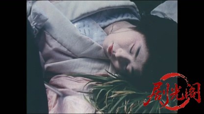 藤田まことの丹下左膳４ 彷徨う丑三つの花嫁 江戸城に渦巻く大陰謀！.mkv_20260416_09.jpg