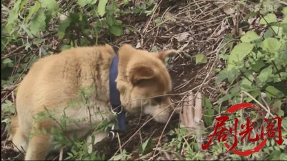 ざこ検事 潮貞志の事件簿２.mkv_20260420_111700.166.jpg