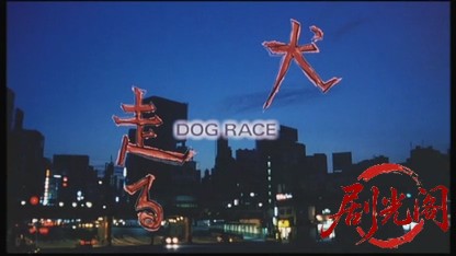 犬、走る　ＤＯＧ　ＲＡＣＥ.mkv_20260427_222514.184.jpg