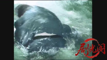 みちのくハネムーン殺人事件.mkv_20260429_191024.996.jpg