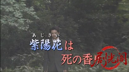 高木検事室の事件簿“紫陽花は死の香り”.mkv_20260502_171639.088.jpg