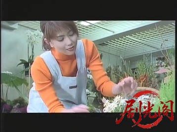 レディースMAX2.mkv_20260502_213044.110.jpg