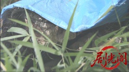 信濃のコロンボ　事件ファイ15.mkv_20260506_203516.891.jpg