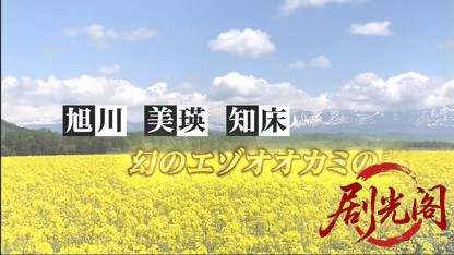 北海道警事件ファイル警部補　五条聖子5.mkv_20260506_205027.893.jpg