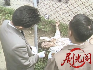 突風!ミニパト隊 アイキャッチ・ジャンクション.mkv_20260508_182509.529.jpg