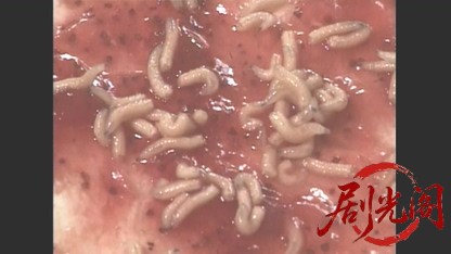 生ごみ 死体遺棄.mkv_20260509_155919.291.jpg