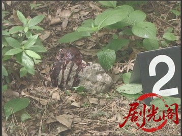 ペットシッター 沢口華子の事件簿2.mkv_20260510_185927.823.jpg