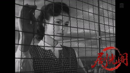 社長秘書1953.mkv_20260511_215950.072.jpg