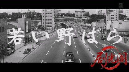 若い野ばら1965.mkv_20260511_220722.222.jpg