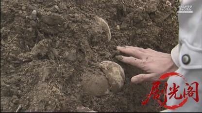 監察医　篠宮葉月　死体は語る7.mkv_20260515_220406.807.jpg
