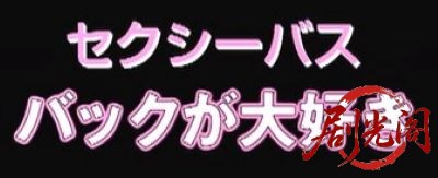 セクシーバス バックが大好き.mkv_20260517_183304.755.jpg