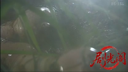 スクープ.mkv_20260517_221019.730.jpg