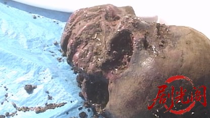 サイコハンニバル 迷宮事件をエクスタシー捜査.mkv_20260518_200811.779.jpg