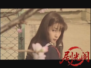 岸和田少年愚連隊 血煙り純情篇.mkv_20260520_200105.396.jpg