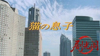 猫の息子.mkv_20260520_203607.703.jpg