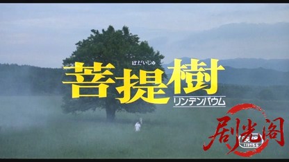 菩提樹リンデンバウム.mkv_20260520_204357.733.jpg