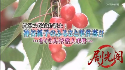 農家の嫁は弁護士!神谷純子のふるさと事件簿.mkv_20260526_231452.770.jpg