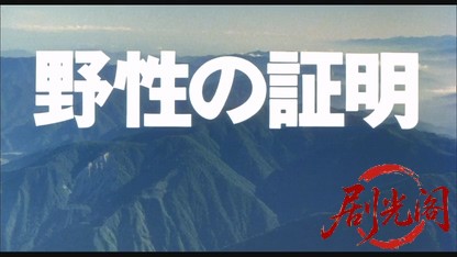 野性の証明.mkv_20260609_090805.304.jpg