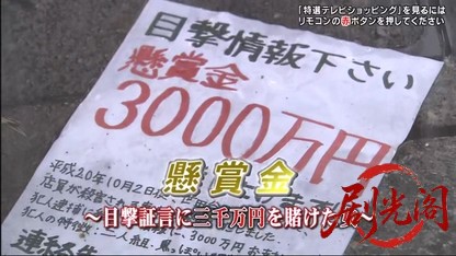 懸賞金～目撃証言に三千万円を賭けた女～.mkv_20260610_192243.131.jpg