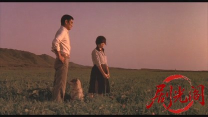 南極物語1983.mkv_20260612_161639.979.jpg