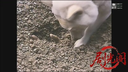 京都金沢花咲爺殺人事件.mkv_20260613_202952.130.jpg