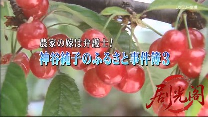 農家の嫁は弁護士!神谷純子のふるさと事件簿3.mkv_20260615_181945.699.jpg