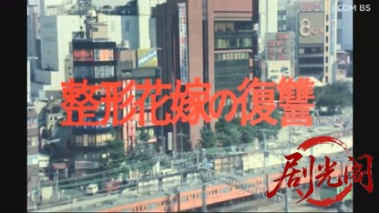 整形花嫁の復讐　結婚式に殺しの鐘が三度鳴る！.mkv_20260616_221537.897.jpg