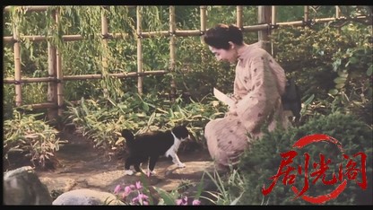 まあだだよ1993.mkv_20260617_155747.927.jpg