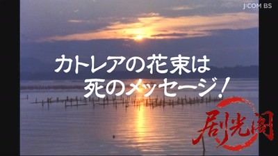 整形復顔　女流デザイナー殺人事件.mkv_20260618_204825.128.jpg