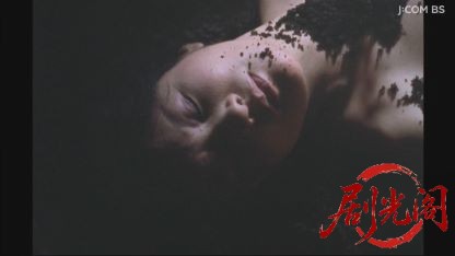 整形復顔　女流デザイナー殺人事件.mkv_20260618_205020.016.jpg
