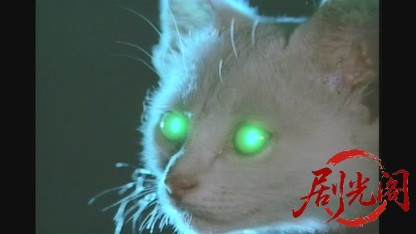 怪猫恋ヶ淵.mkv_20260622_115811.771.jpg