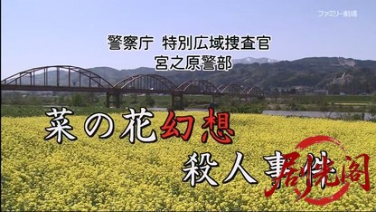 警察庁 特別広域捜査官 宮之原警部シリーズ2.mkv_20260411_235809.244.jpg