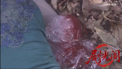 さすらい署長 風間昭平 ～みちのく北上川殺人事件～.mkv_20260412_163238.230.jpg