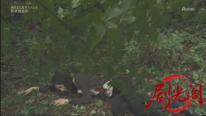 西村京太郎サスペンス 鉄道捜査官9.mkv_20260430_194205.716.jpg