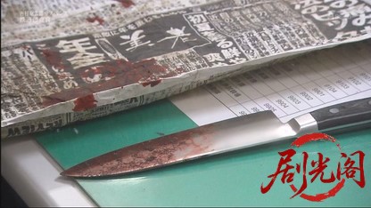 西村京太郎サスペンス 鉄道捜査官9.mkv_20260430_194158.749.jpg