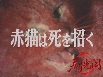 三毛猫ホームズの怪談・赤猫は死を招く.mkv_20260629_214411.523.jpg